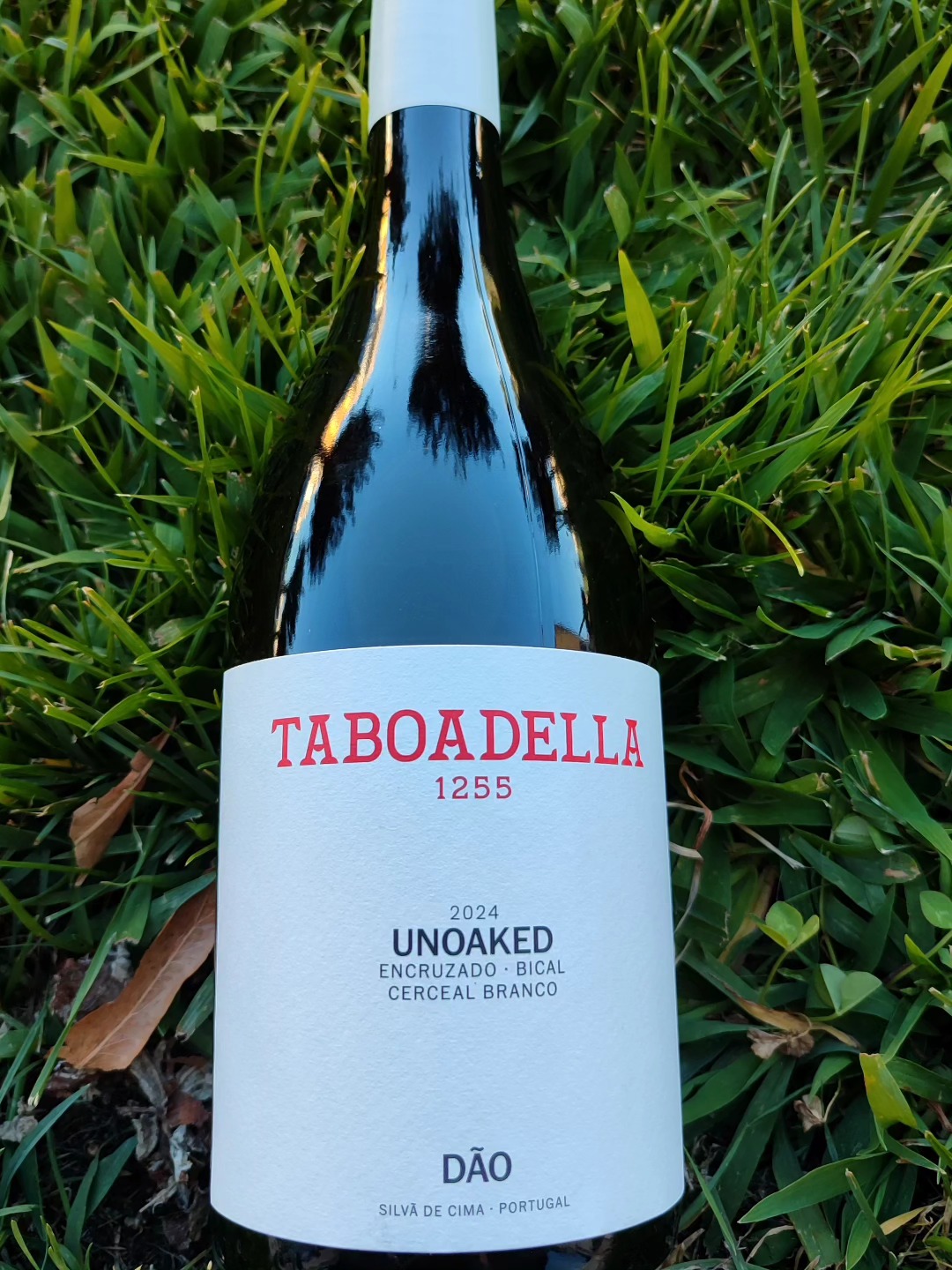 Vinhos